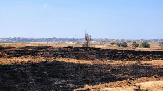 Israeli orchards burned by incendiary kites, 2018.