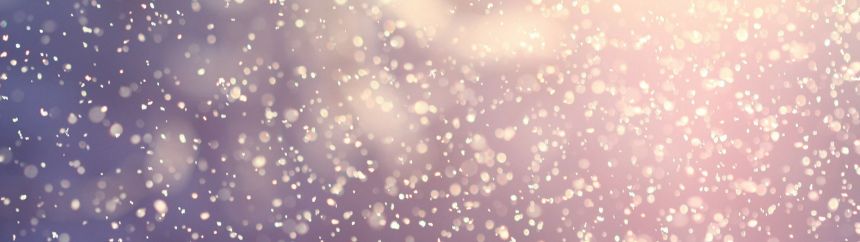 2018_Walk Wisely_2banner